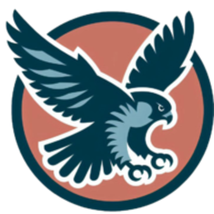 Falcon Bitcoin Accelerator - Bitcoin Transaction Acceleration Tool